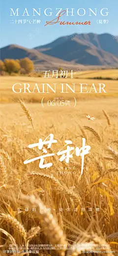 芒种节气海报_源文件下载_AI格式_1080X2340像素-芒种,节气,生机,插秧,耕田,劳作,收获,夏天,二十四节气,海报-作品编号:2025060411242494-志设-zs9.com