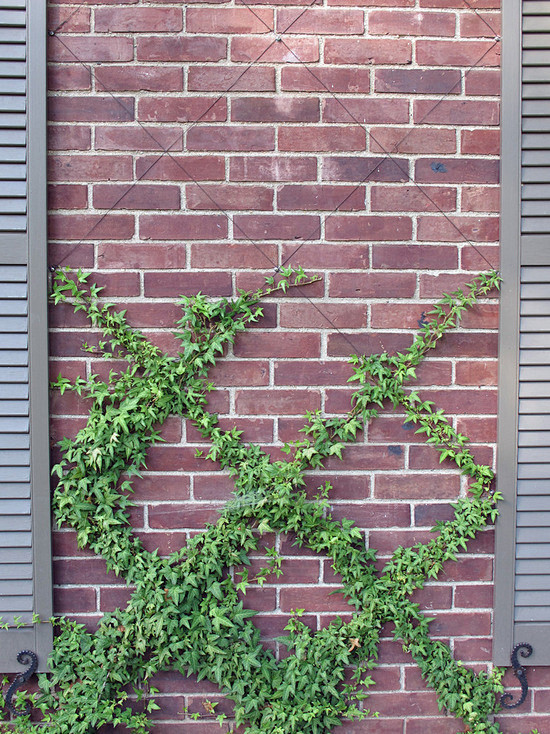 Outdoor Design Ideas...