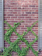 Outdoor Design Ideas, Remodels & Photos with a Vertical Garden