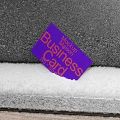 1款名片卡片样机雪地实拍效果图mockup贴图设计素材vi样机-淘宝网