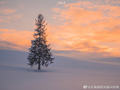 梅子味的风采集到北海道