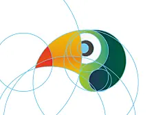 IBRA : O projeto foi criado para uma nova organização ambiental que está sendo desenvolvida. A ideia é trazer as cores do Brasil, a floresta e os animais, reforçando a diversidade e a beleza da natureza.O Tucano é uma ave comum, muito conhecida e bela, se