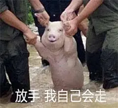 哈哈哈哈哈哈哈哈哈哈哈哈把做成表情包也太好笑了！有点心疼 ​​​​