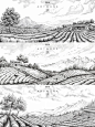黑白版画风格插画-梯田茶山 - 小红书