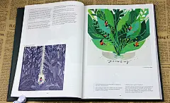 Kaleidoscope 缤纷视界 看得见故事的插画 艺术插画国际绘本插画师 创新趣味手绘插画作品精选 平面插画设计书籍-tmall.com天猫