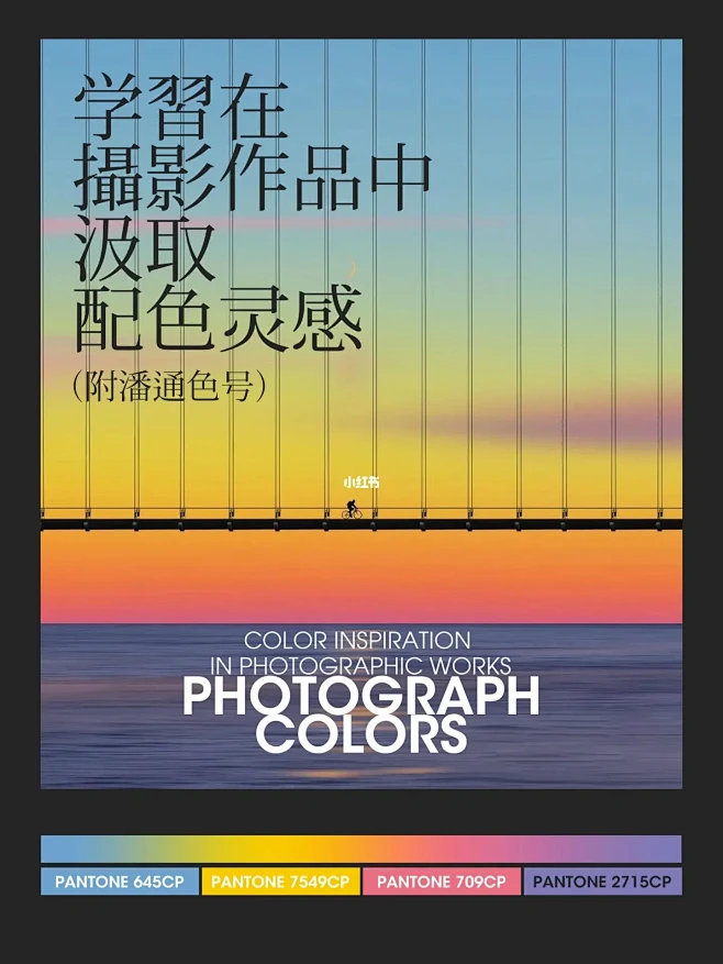 ️配色灵感｜摄影作品中的配色真的很好看