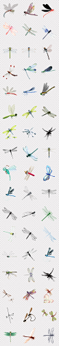 中国风水墨蜻蜓卡通可爱昆虫蜻蜓PNG素材