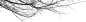 树枝