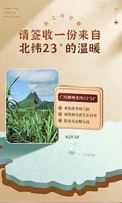燕之坊纯手工甘蔗古法红糖块黑糖姜汁玫瑰红糖姜茶单独小包装216g-tmall