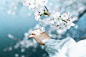 Photo shared by iwakura shiori  岩倉しおり on April 13, 2021 tagging @mt_story. May be an image of 1 person.