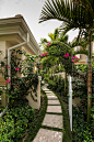 Naples, FL - 41 West - Pelican Bay - Custom Home - Tropical - Landscape - New York - by Certified Luxury Builders - Connecticut | Houzz