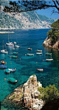 Island of Mallorca, Spain @}-,-;--