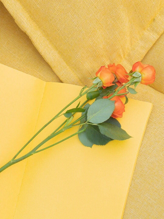 yellow-花瓣网