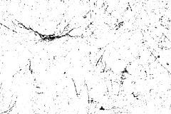 顾泽林枫采集到PNG素材
