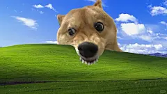 看到别人桌面用，我也用，被同事笑了 - 小红书