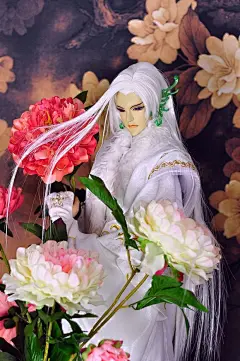 绮罗生﹙九千胜﹚ 霹雳布袋戏虚拟人物
