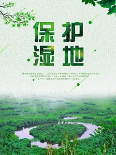 世界湿地日保护湿地