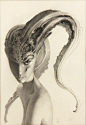 【插画】Allen Williams - TOP: Tree Of Tales for Lined in Lead: Works In Graphite exhibition Drawings: Graphite on Watercolor Paper BOTTOM: Darth Talon: Corrupted for A Saga in the Stars: A Tribute Event to a Galaxy Far, Far Away exhibition Drawings: Graphite