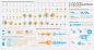 infographic， visualization， Data