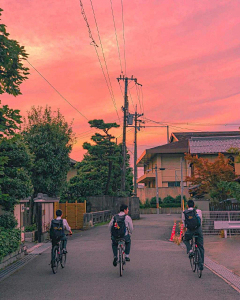 花粉篮~~采集到场景