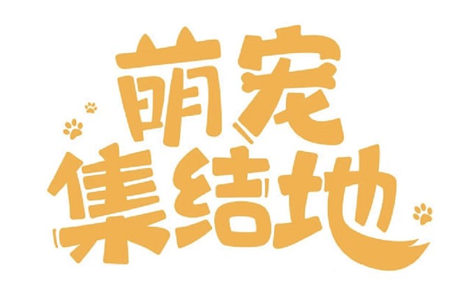 来自相册