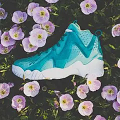 三冠王者生日别注/ Li-Ning 2014 Way Of Wade 2「Birthday」别注版本