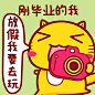 刚毕业的我～哈咪猫
