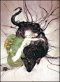 日本顶级画师天野喜孝，笔下那些不食人间烟火的魂魄！ : 《最终幻想》系列前六部的角色设计者。擅长舞台美术及服装设计。其作品散见各种艺术创作活动中，计有动画人物设计、电玩游戏视觉概念设计、书籍的封面设计与内页插画，舞蹈、戏剧、电影的场景设计、背景美术设计、服