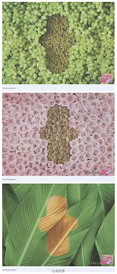 苏菲卫生巾产品宣传海报，好强大的吸水功能！（组图 共3幅620px × 1445）--这里只有海报-----关注@海报赏