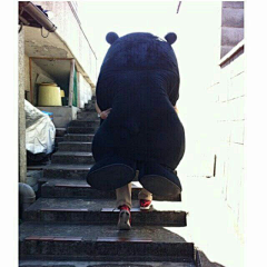 wyyyyyw采集到kumamon