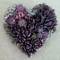 Absolutely beautiful purple potted succulents in heart shape!