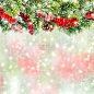 枝,浆果,红色,边框,无人,圣诞树,花卉花环,前景聚焦,圣诞装饰物