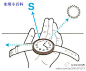 【用手表判断方向】把当时的时间除以2，得到的数字的指针对准太阳的方向，则12点所对的方向即为北方。例如：下午两点即14点，除以2得7，把7点的位置对准太阳的方向，则12的方向就是北方。只适用于北半球哦！~~@点子总动员