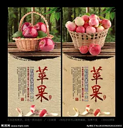 苹果 苹果图片 苹果展板 青苹果 苹果标签 苹果宣传单 水果苹果 苹果批发 摘苹果 批发苹果 苹果专卖 苹果基地 苹果挂图 苹果红富士 美味苹果 吃苹果 种植苹果 苹果熟了 苹果树 苹果园 苹果果园 新鲜苹果 富士苹果 苹果画册 苹果产地 苹果包装 苹果介绍 苹果汁 苹果广告 苹果创意海报 果汁 果蔬