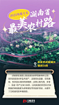 海报丨一路风景美如画 快来看2022年度“湖南省最美农村路”_热点专题_政务频道_红网