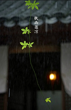 nwgsyps采集到慰藉
