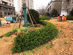黄panpan采集到施工工艺