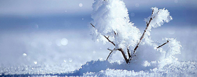 冬天.雪花桌面壁纸-桌面背景图片-高清壁...