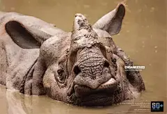 公益海报合集:节约用水这件事儿