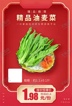 精品油麦菜加档秒 【酷图网】精品油麦菜,加档秒,促销活动,宣传,火爆,火热,微商,电商,价格,推广,秒杀图,产品图,商品海报,农产品