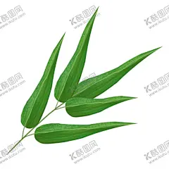 竹子素材 【酷图网】竹子素材,卡通竹子,竹子,竹子插画,清新,雅致,素材,元素,插图,矢量,图片,竹子图案,可爱,海报素材,背景,植物,手绘,竹子元素,包装,logo,图案,图标,标志,简约,壁纸,中式,国潮,古风,国风,古典,中国风,端午节,清明节,端午,清明,意境,竹竿,竹节,竹叶,卡通,竹,绿色,叶子