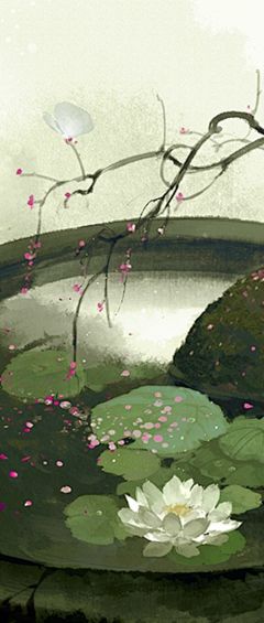 金生水起全能采集到禅