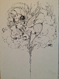 插画 线稿 蜜蜂