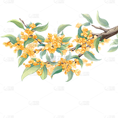 DWEOP采集到9.2