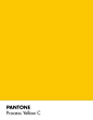 pantone