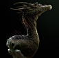  Dragon Bust #2