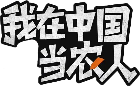 我在中国当农人