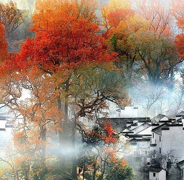 旅行风景 江西婺源秋色