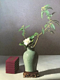 插花