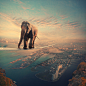 500px / Balanced trip by Caras Ionut